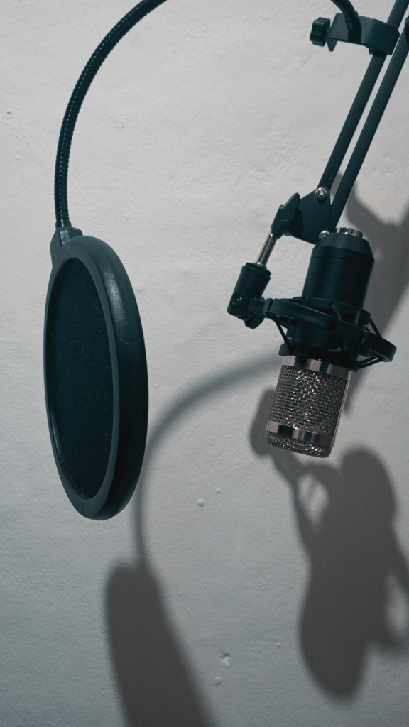 condenser-mic-studio-elvief