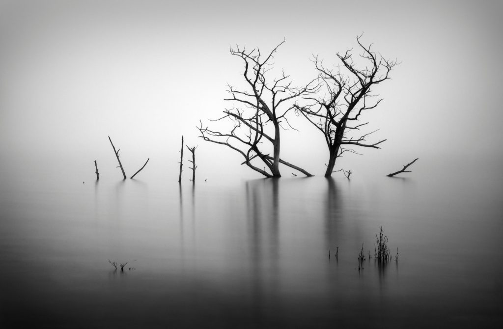 feminine-lake
